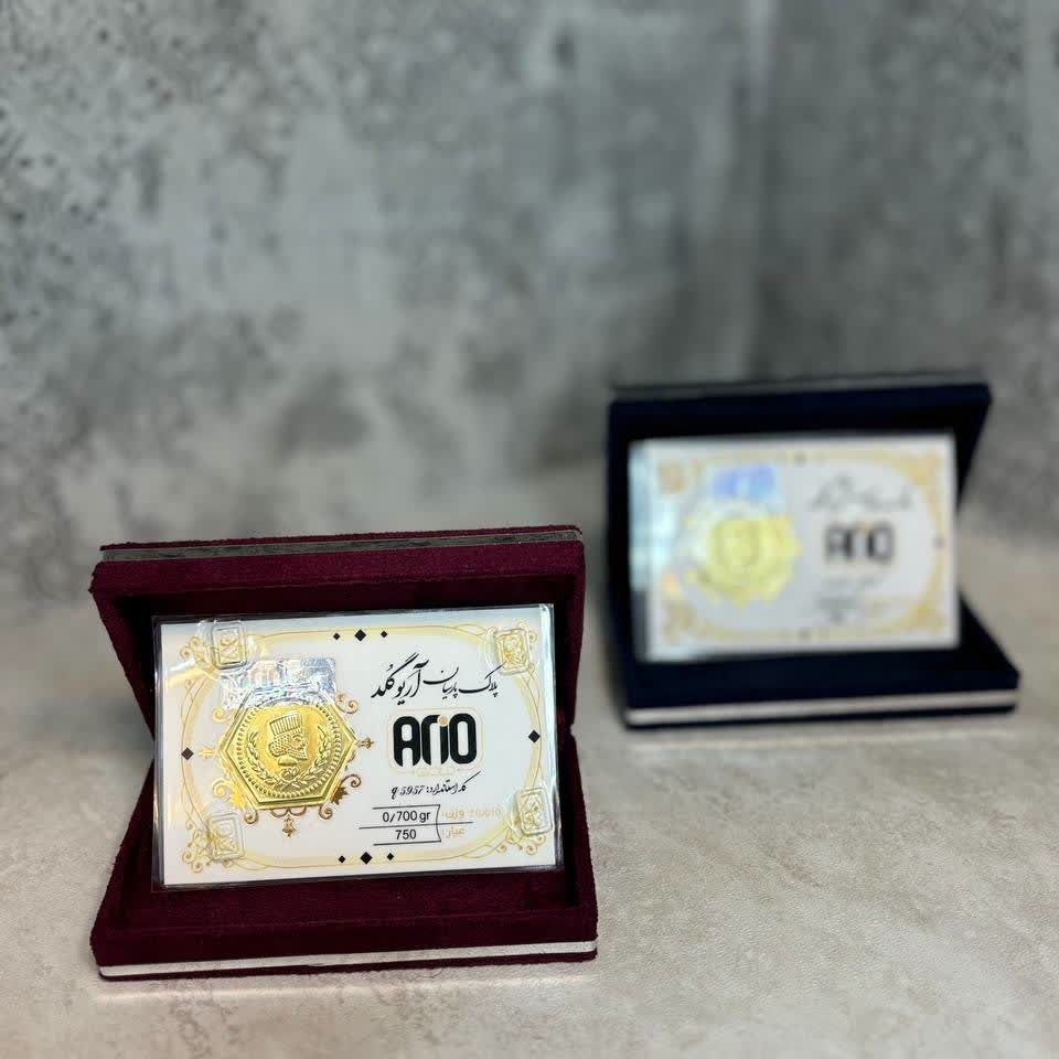 سکه پارسیان (آریوگلد) 450 سوت 18 عیار( ارسال رایگان)